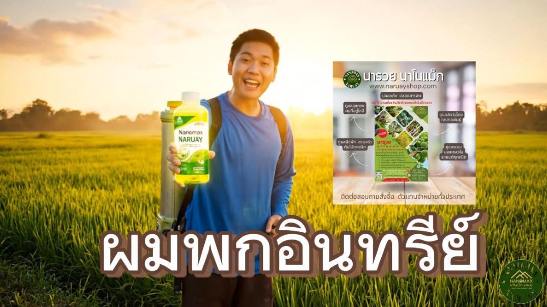 ผมพกอินทรีย์นาโนแม็กนารวย