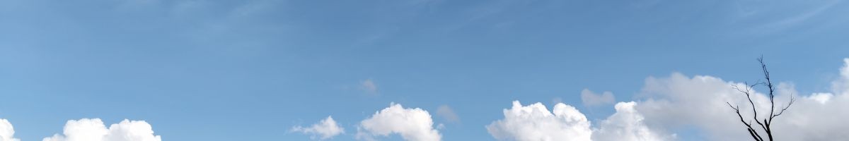 ปิ่น นินคง 