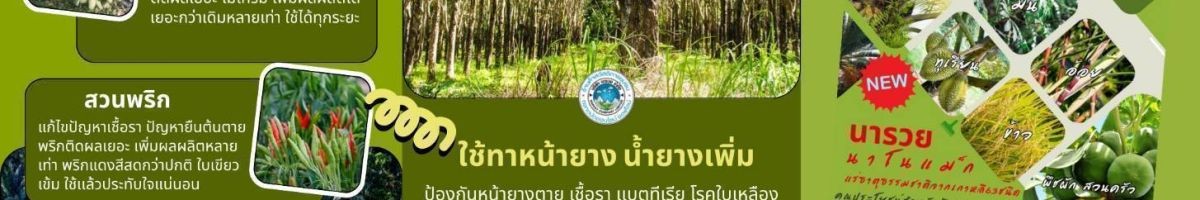 Patcharee Nakpan 